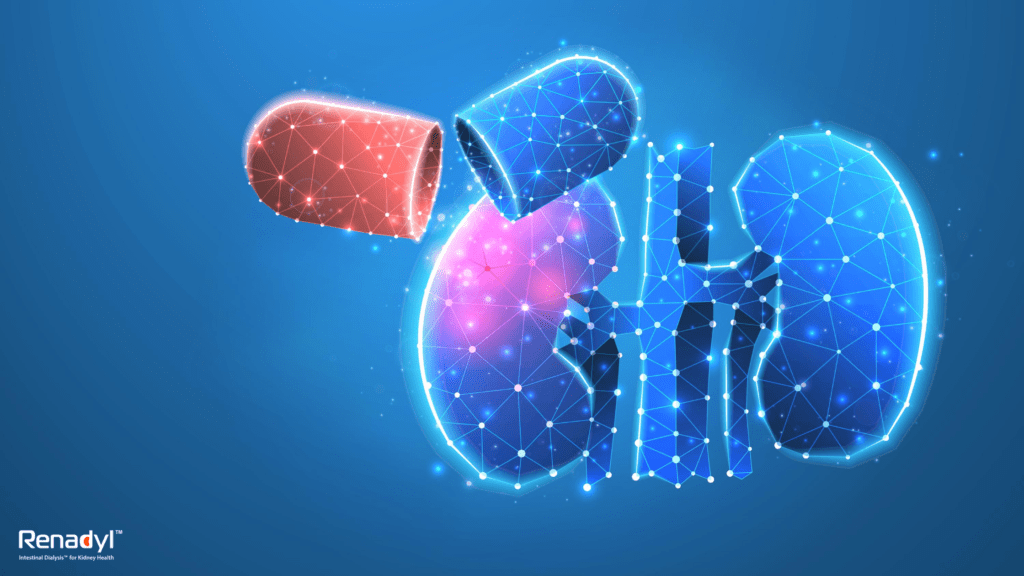 Illustrative image of Kidneys and associated supplements