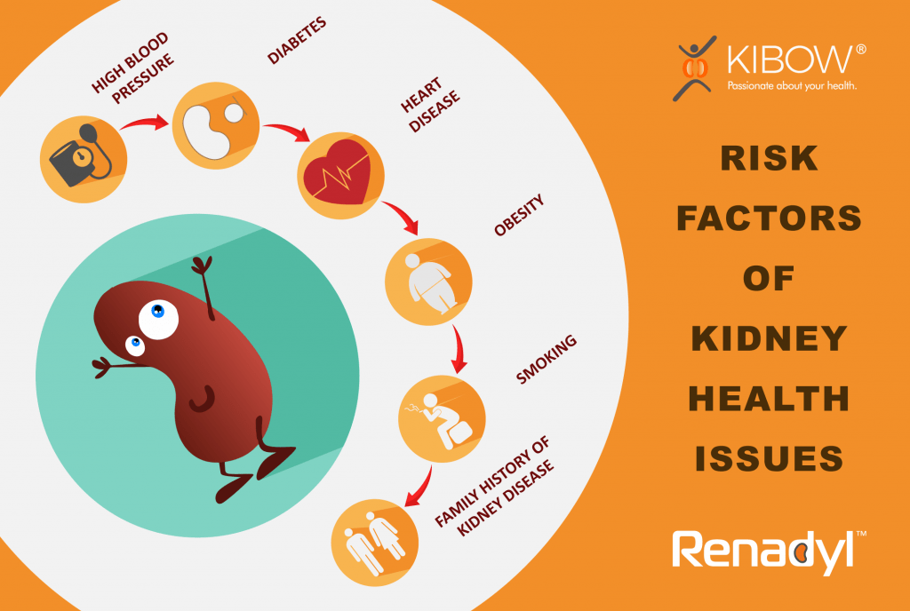 Chronic Kidney Disease - Risk Factors