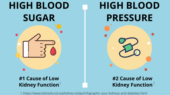 Causes-of-low-kidney-function