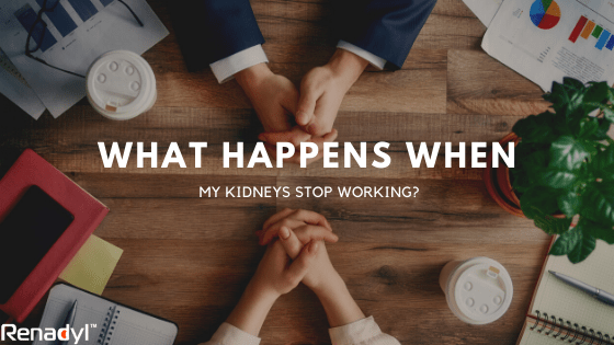 what-happens-when-my-kidneys-stop-working-renadyl-blog